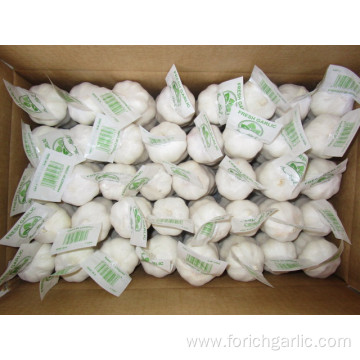 Pure White Garlic Packed In 10kg carton
